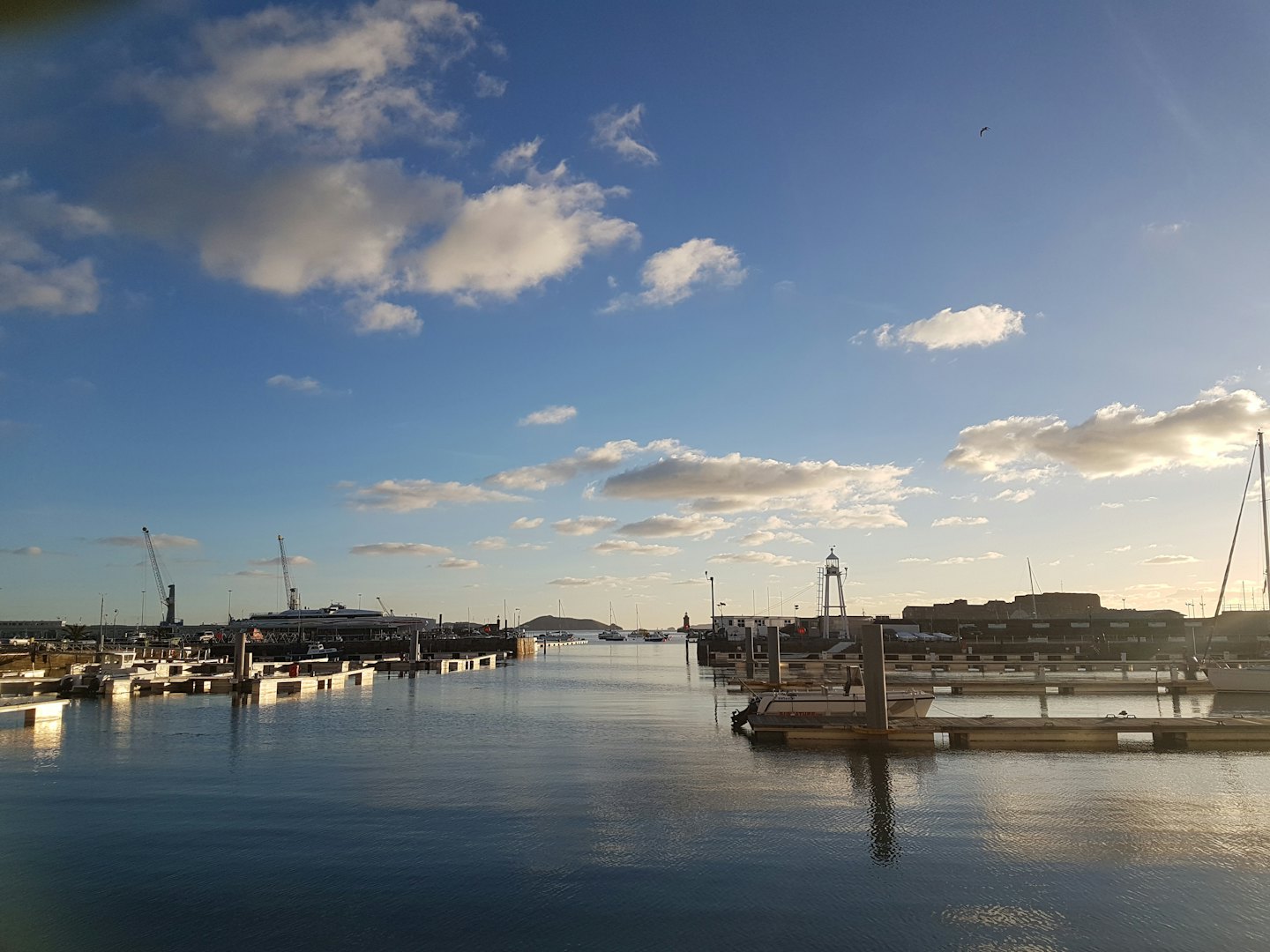 Barche ormeggiate in un porto turistico in una giornata di sole.